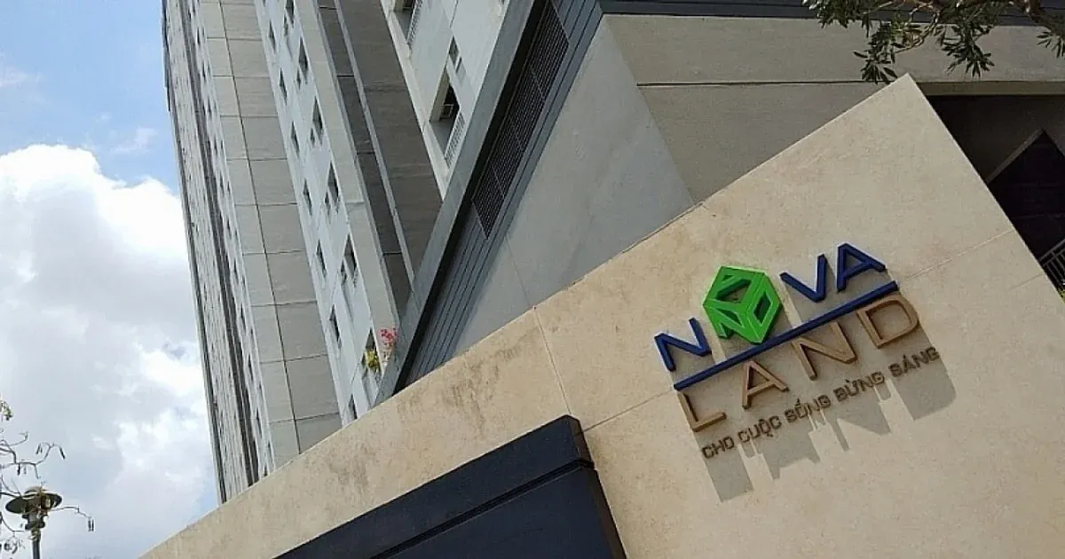 NVL lập đỉnh 3 năm: Từ bờ vực đến thế hệ kế nhiệm