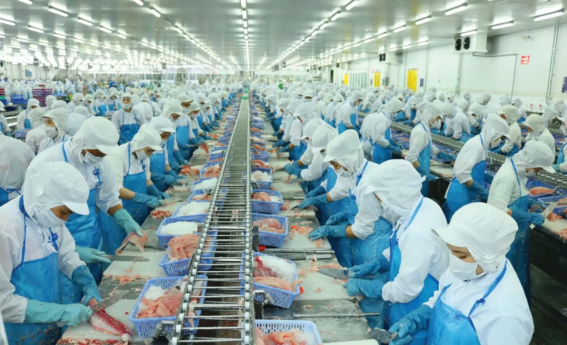 VHC tháng 3 tăng 71% sang Mỹ: lợi thế có thời hạn