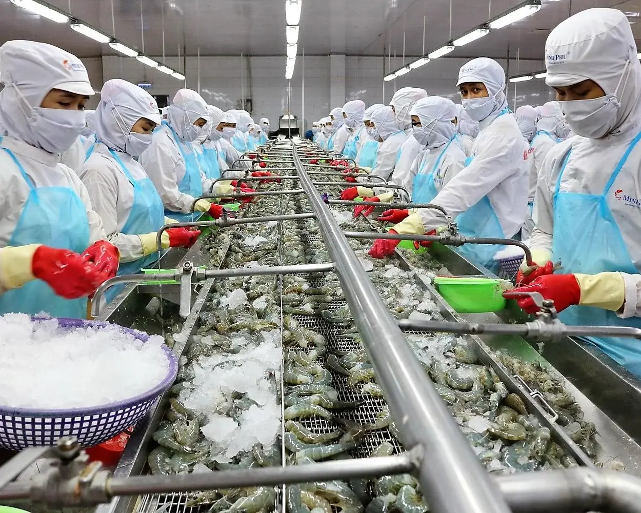 MPC lãi gấp 12 lần: Cơ chế đòn bẩy và tồn kho 5.500 tỷ