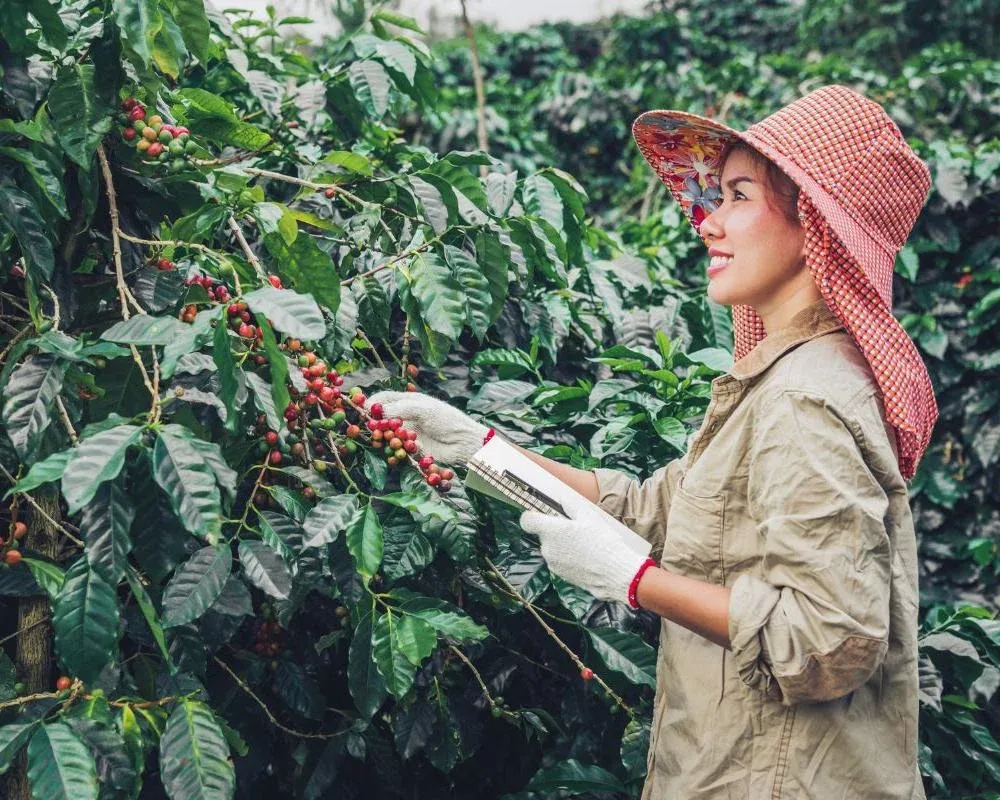 Người giữ hàng trong nước chưa cho thấy tâm lý bán vội