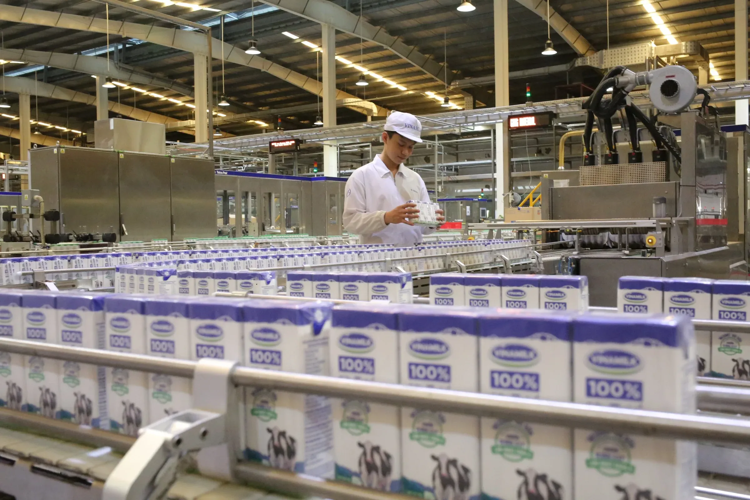 Dây chuyền sản xuất Vinamilk, một trong những khoản nắm giữ lớn nhất của SCIC